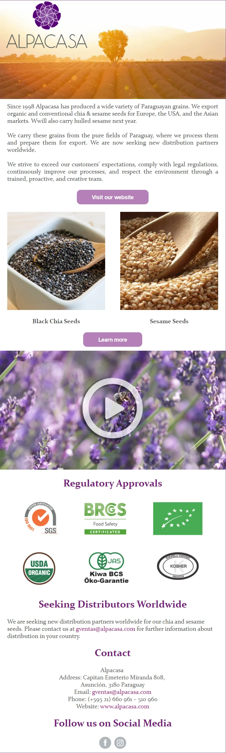 Custom eNewsletter (CEN) example 2