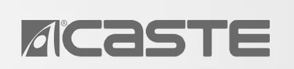 CASTE logó